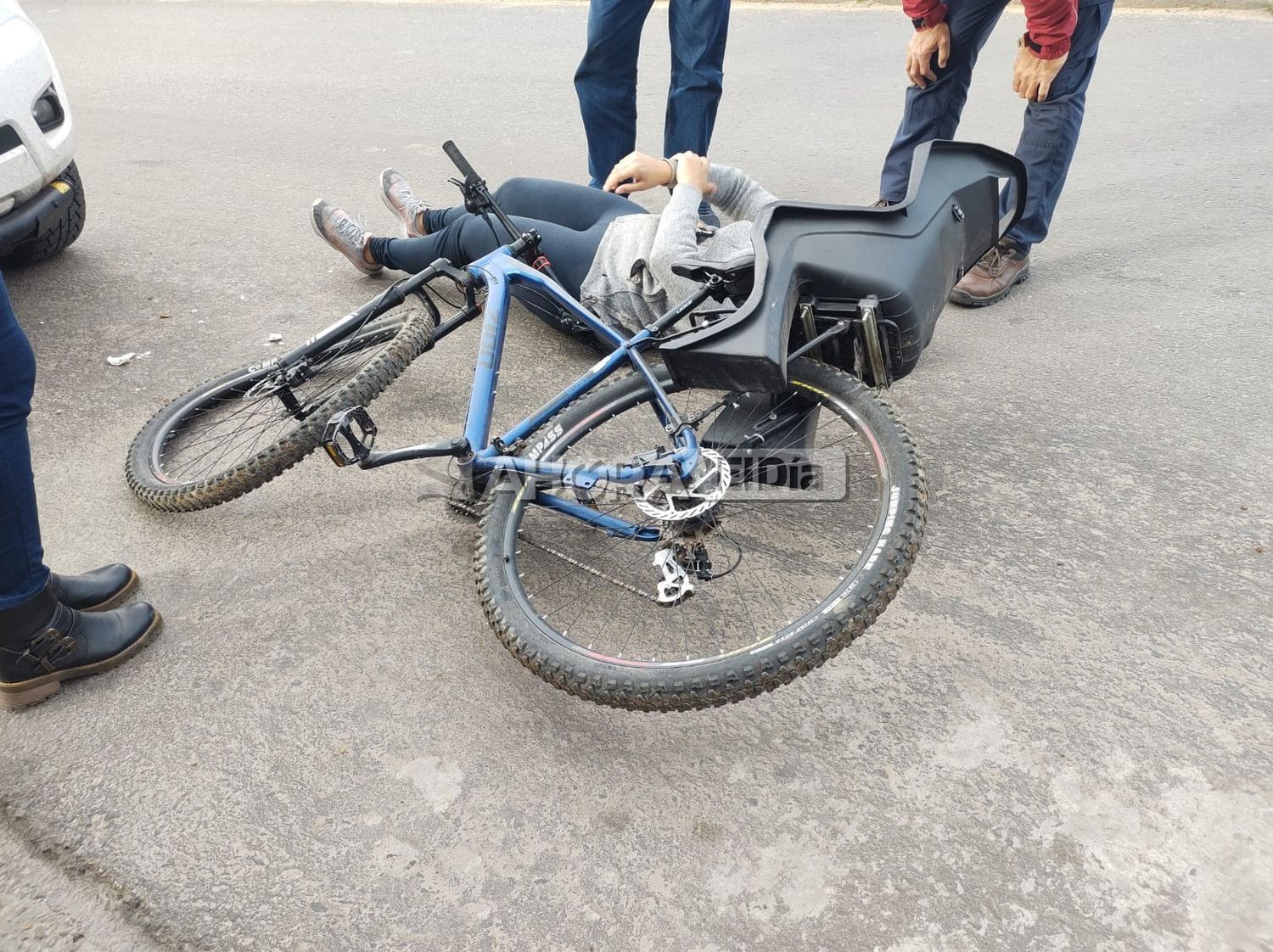 Un perro provocó un fuerte accidente en la Avenida Parque: una mujer herida