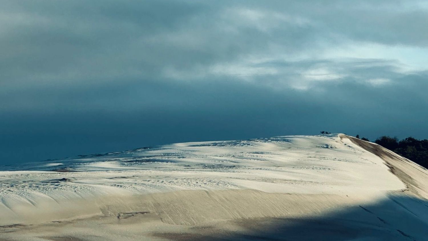 La caída de nieve se trató de un “engranaje perfecto"