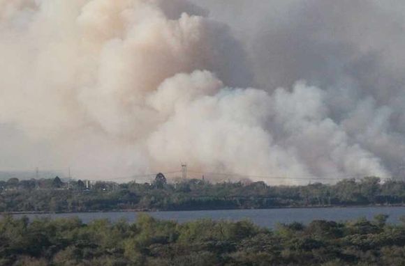 Por la quema de pastizales en las islas, piden la urgente intervención del Sistema Federal de Manejo del Fuego