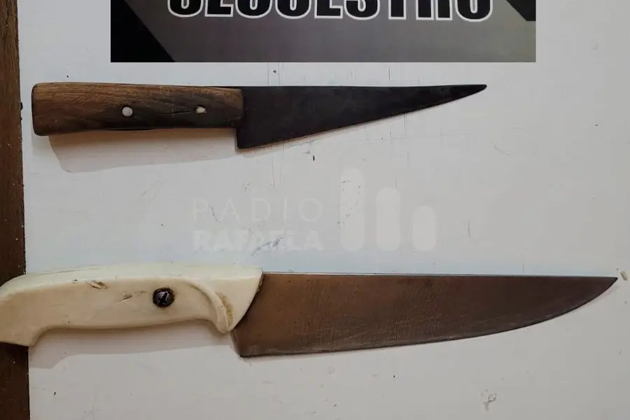 Dos chicos de 16 años merodeaban por barrio Italia con “facas”