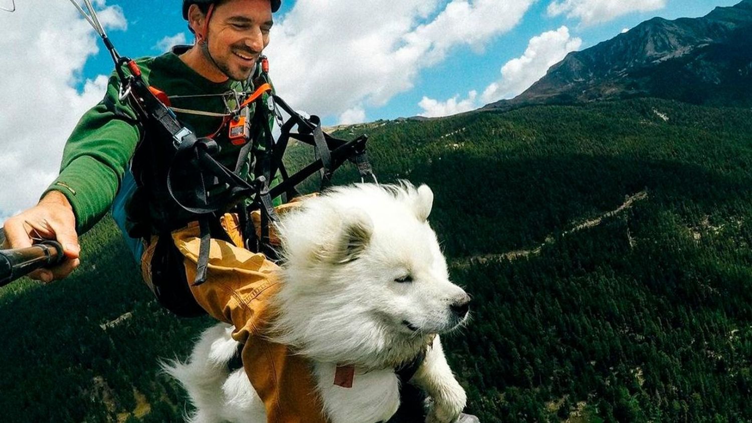 Ouka, el perro aventurero que vuela en parapente