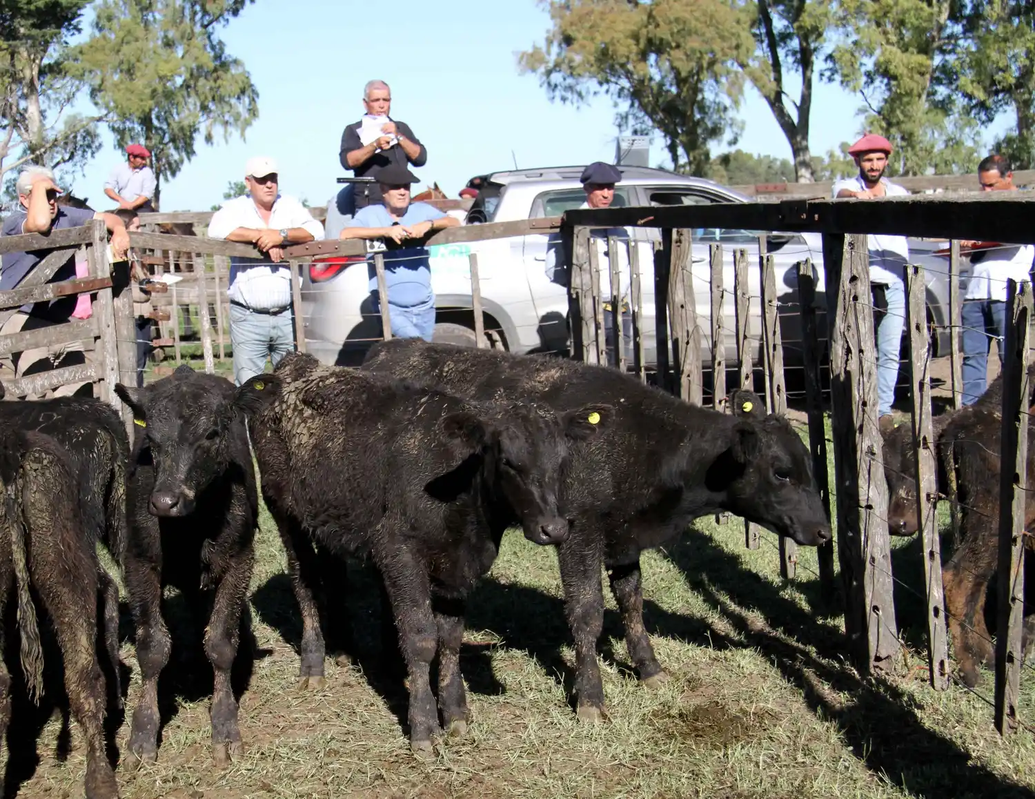 Los Arzoz invitan a otro viernes de feria