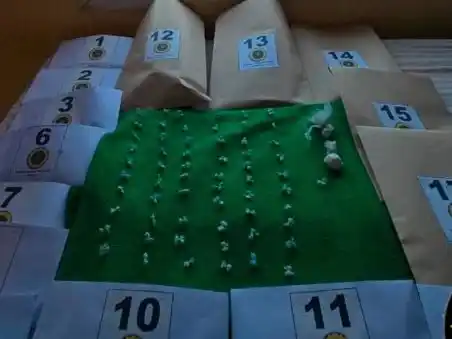 Un detenido por Narcomenudeo: Incautaron cocaína y marihuana en allanamiento