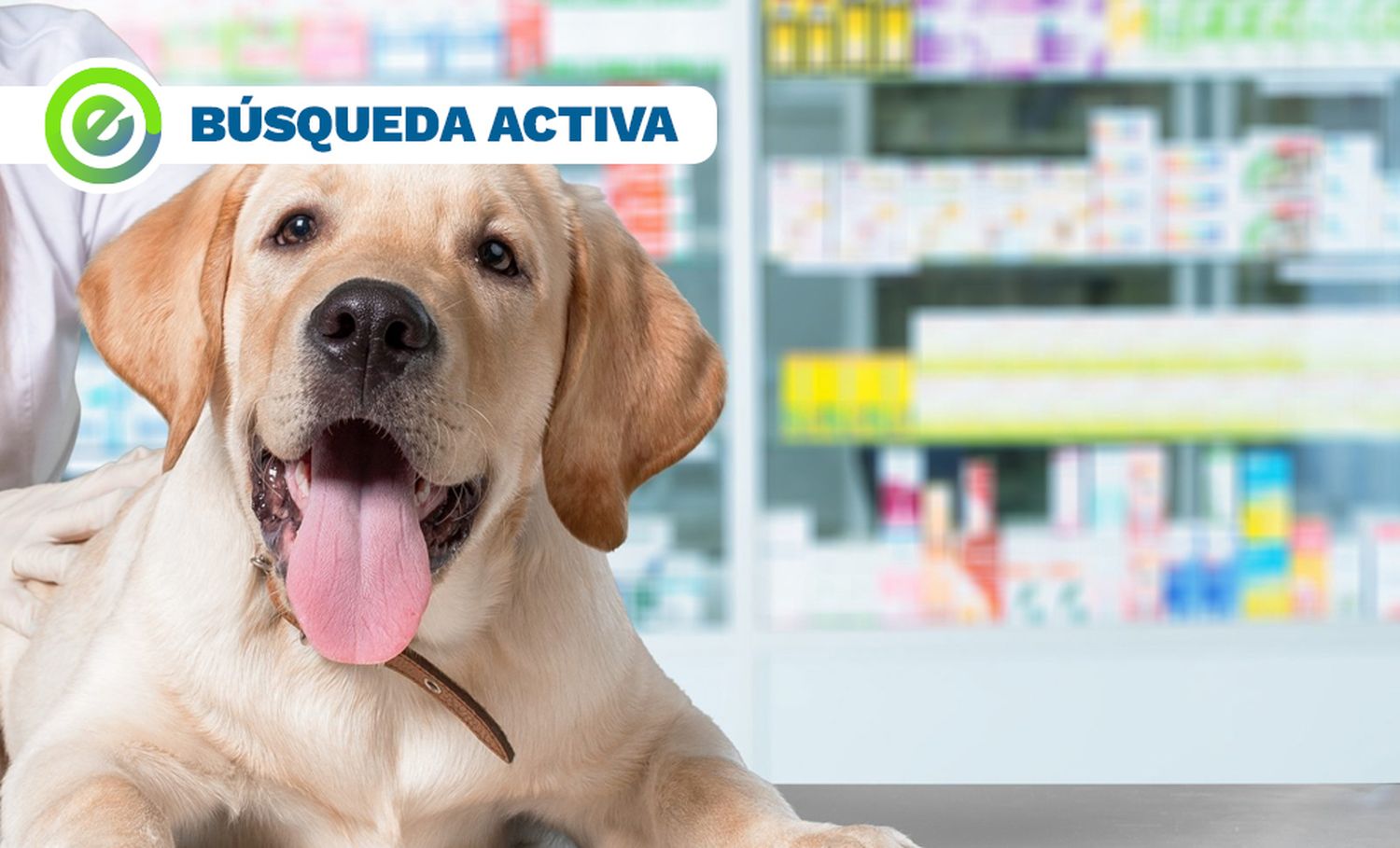 Veterinaria de Tandil busca vendedor/a para atención al público