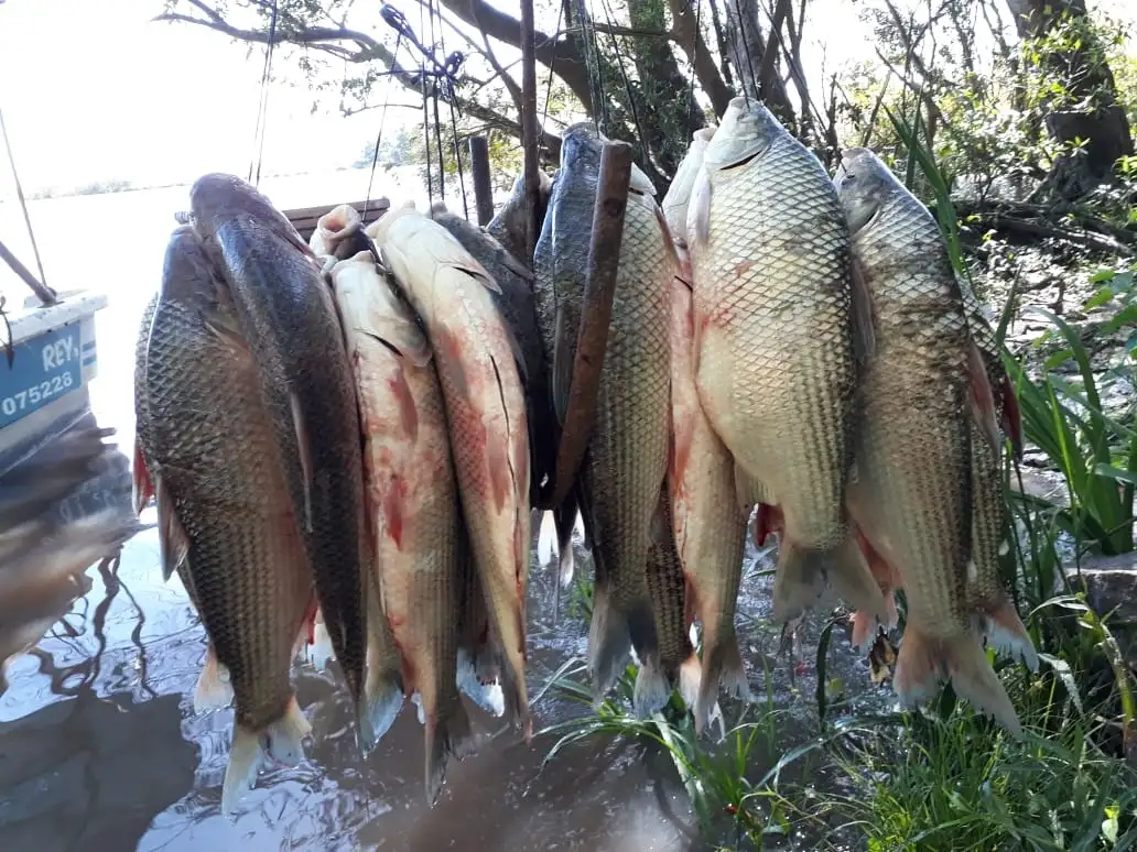 pescadores