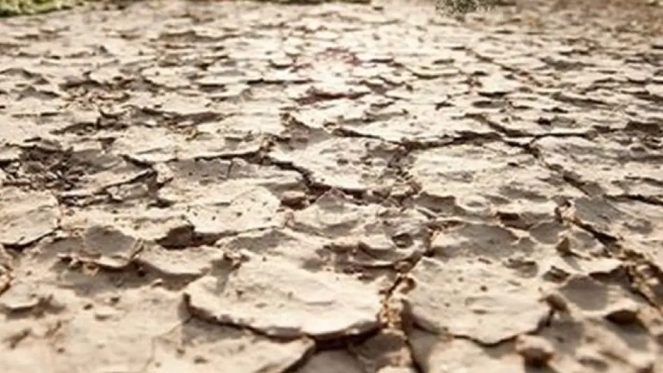 Sector agropecuario en emergencia ante las sequías en el país