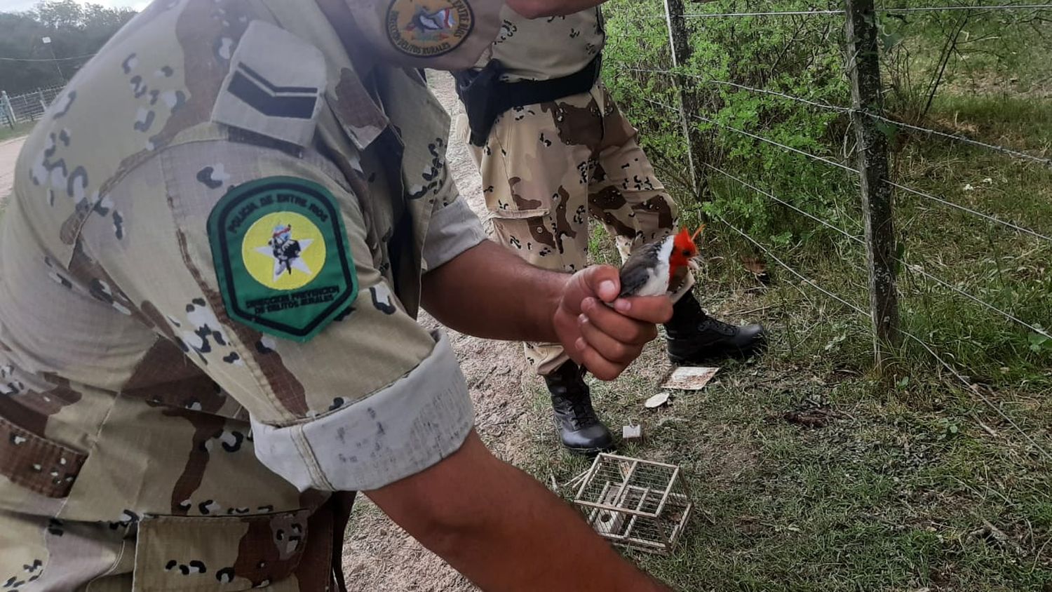 Fueron detenidos cazadores furtivos y un pescador que utilizaba métodos ilegales