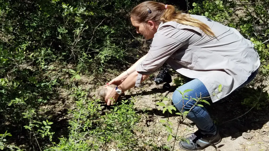 La provincia liberó tortugas de tierra en Villa Minetti