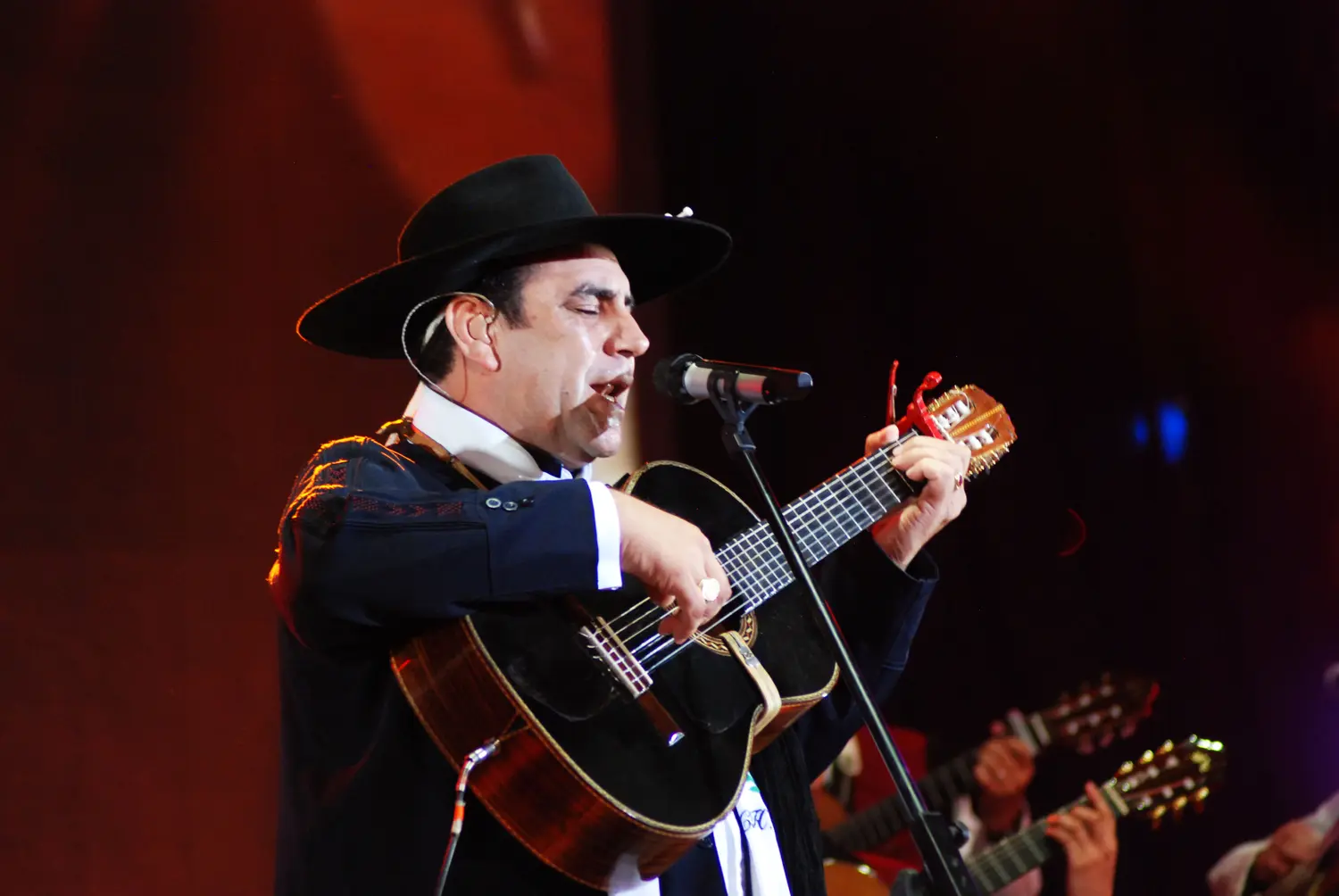 Festival de Baradero: El Chaqueño Palavecino cierra la segunda noche 