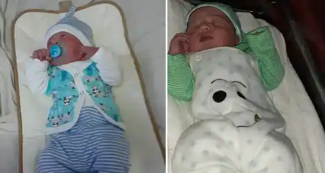 Nacidos en cuarentena: bienvenido, Amadeo