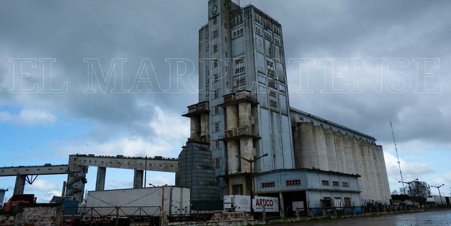 Presentaron el proyecto de la nueva terminal en el sector de los silos