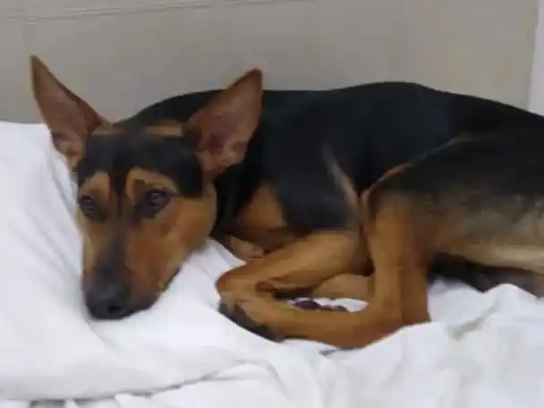 Billy tenía 3 años.