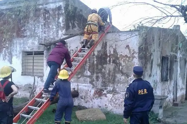 Jugando se subió al techo y lo debieron rescatar los Bomberos