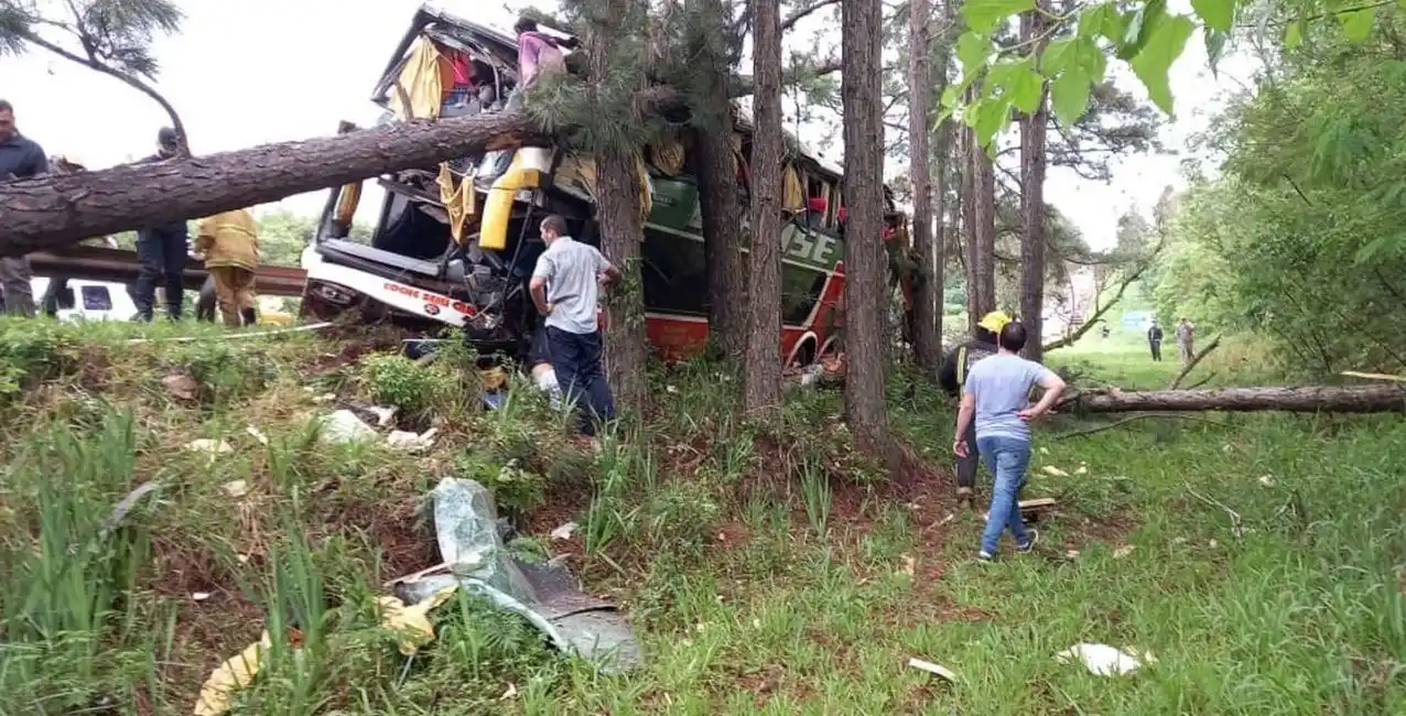 Tragedia: un micro se despistó en Misiones y hay tres personas fallecidas