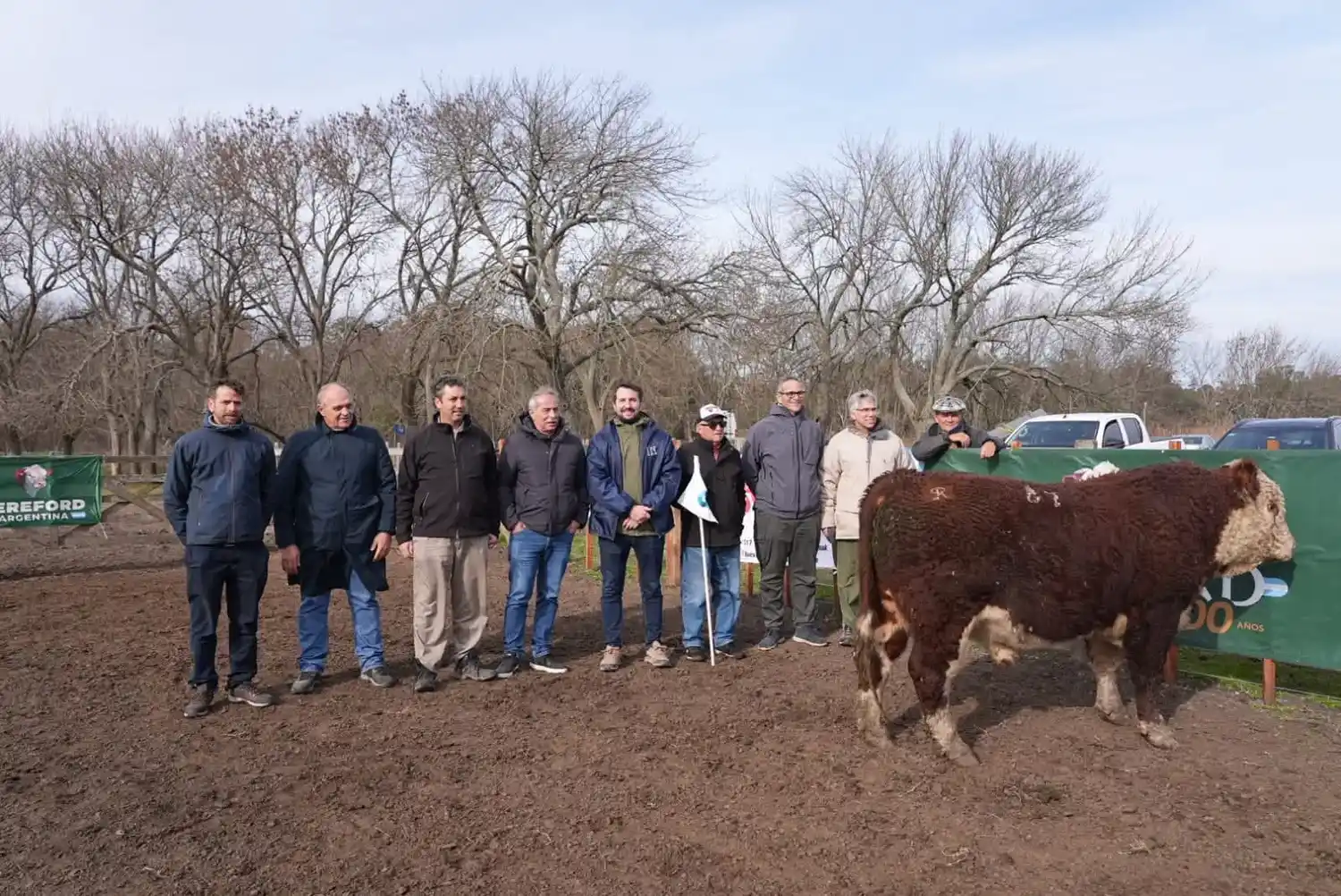 Finalizó la Sexta Prueba Pastoril Hereford Bonaerense Sudeste en el INTA Cuenca del Salado
