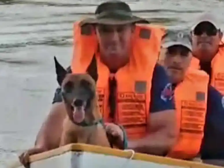 K9 Gualeguay participó en encuentro Internacional en Gualeguaychú