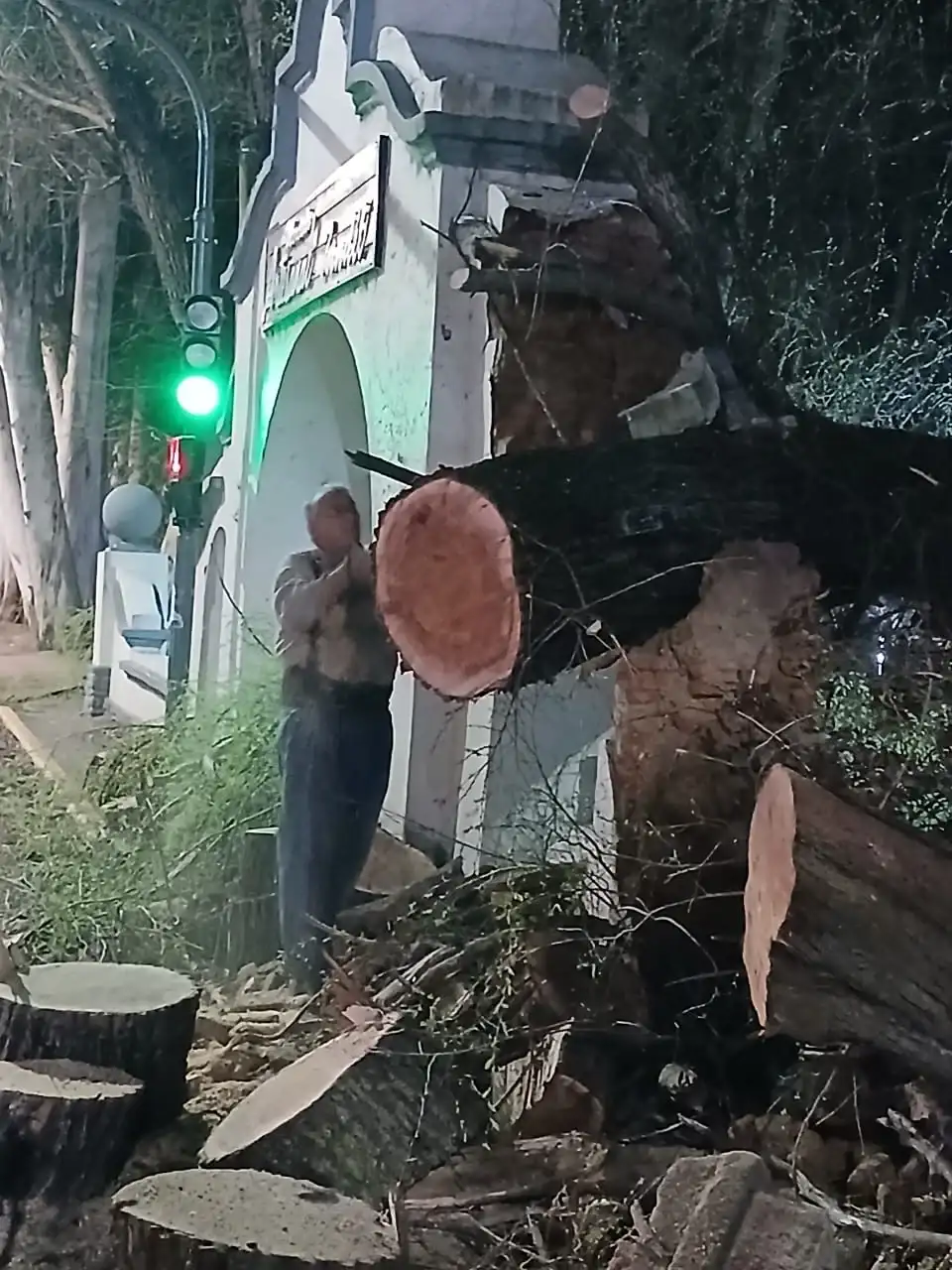 arbol dique