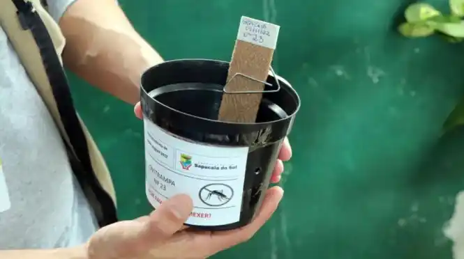 Modelo. De orvitrampa que fuera colocada por el municipio