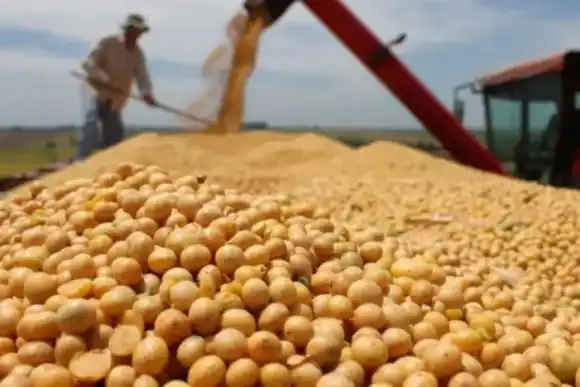 El Gobierno definió cuándo y cómo terminará la segunda edición del "dólar soja"