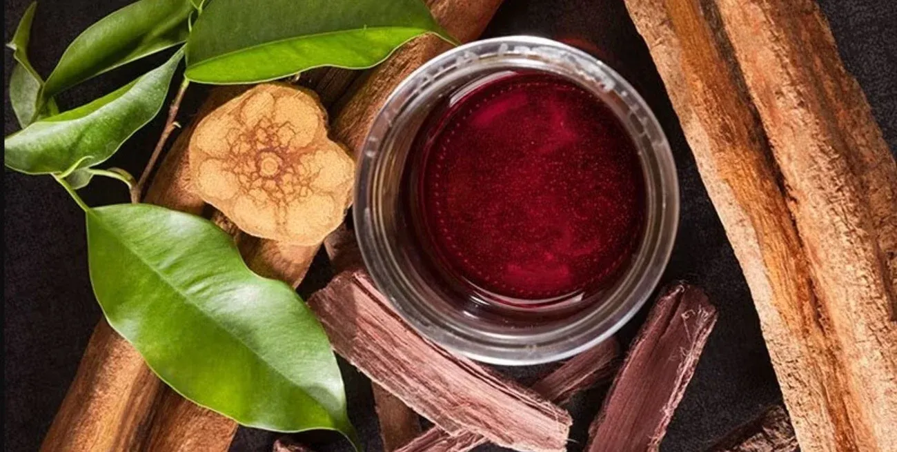 La ayahuasca es un brebaje amargo elaborado a partir de una especie de liana de la región amazónica, conocida como la "liana de los espíritus".