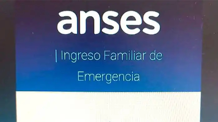 Casi el 20% de la población cobró el ingreso de emergencia