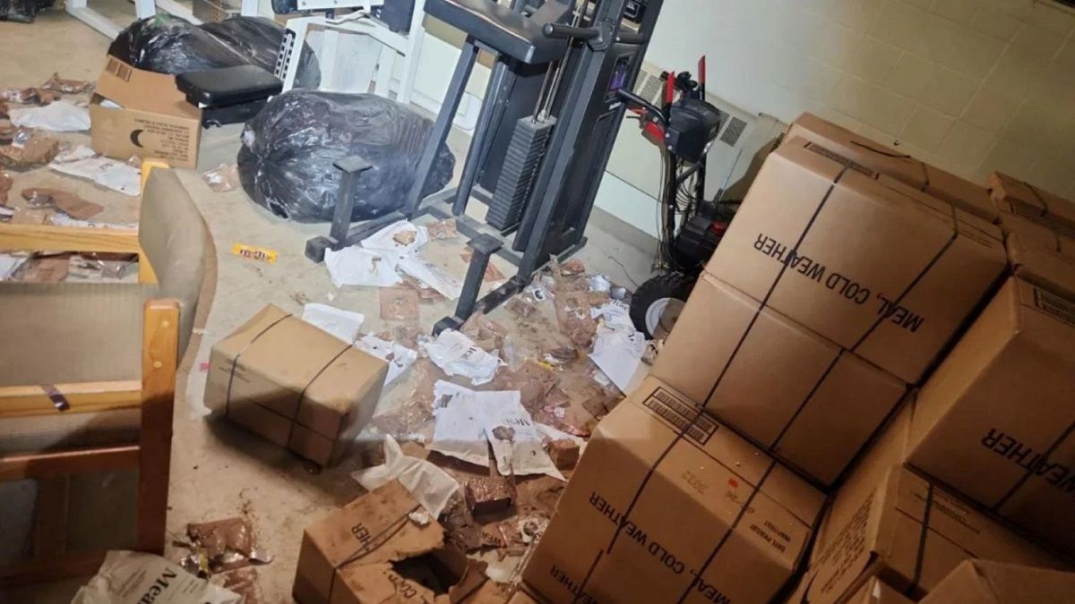 OSOS GOLOSOS se dieron banquete con la comida de EJÉRCITO de EE. UU. en ALASKA