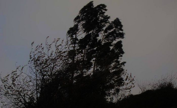 "El área será afectada por vientos del sector oeste, rotando al sudoeste con velocidades entre los 30 y 45 km/h, con ráfagas que pueden alcanzar los 80 km/h”, alertan desde el Servicio Meteorológico.