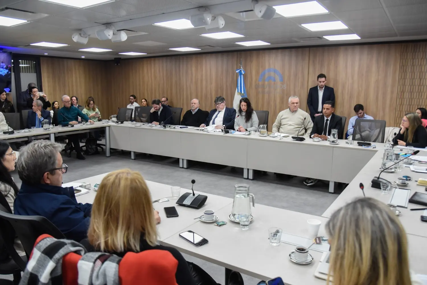 Tras escuchar DESGARRADORES TESTIMONIOS de sobrevivientes: Diputados argentinos exigieron el cierre El Helicoide (+Videos)
