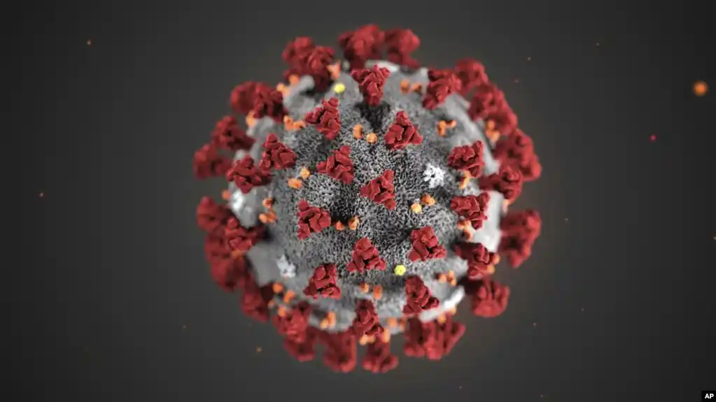 Nueva tecnología podría desarrollar vacuna contra el coronavirus en tiempo récord