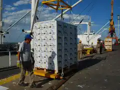 Certificación de fruta fresca y hortalizas que se exportan a Rusia y a la Unión Europea