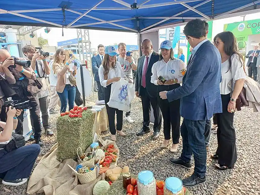 Insfrán: “Es la demostración de que el Norte
Grande tiene una responsabilidad de acción”