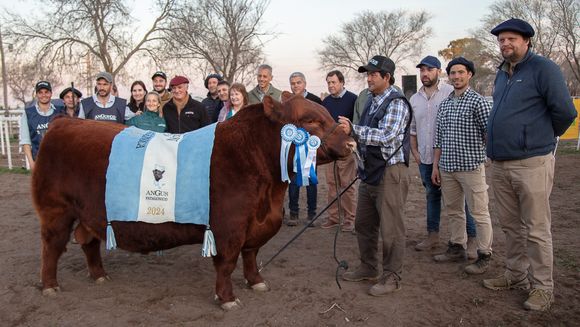 Angus hace historia en la Patagonia