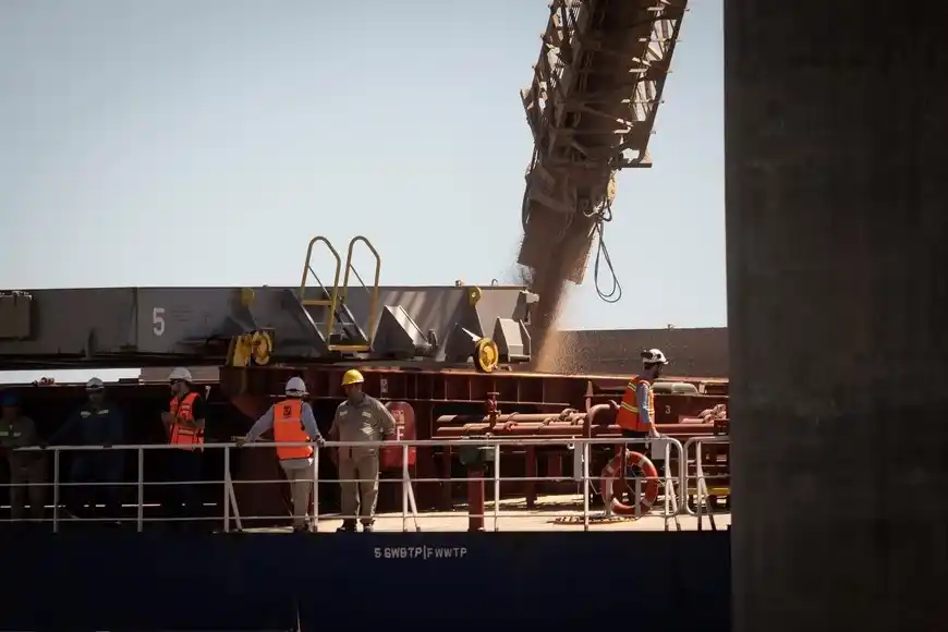 Campo cadena agrícola