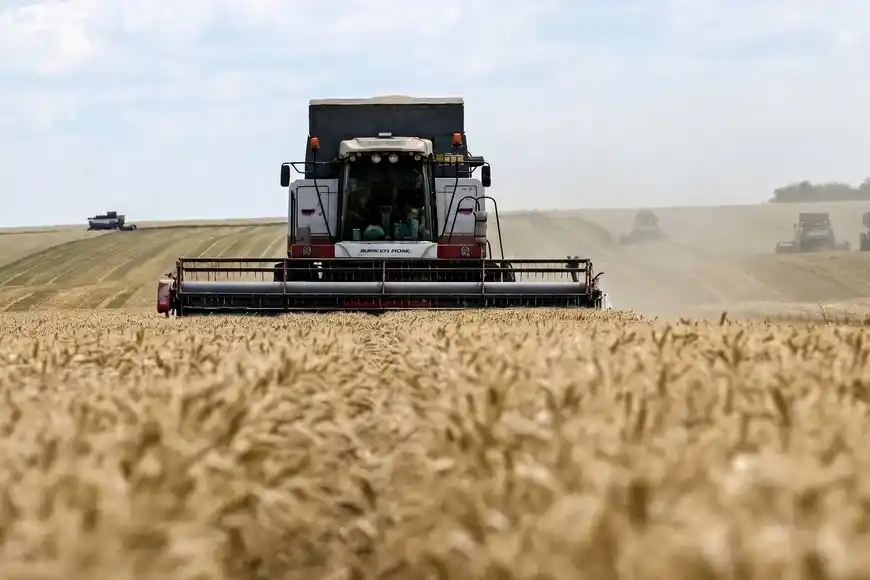 Campo Trigo