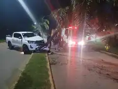 Accidente en Av. Illia y Eva Perón: una camioneta impactó contra una palmera