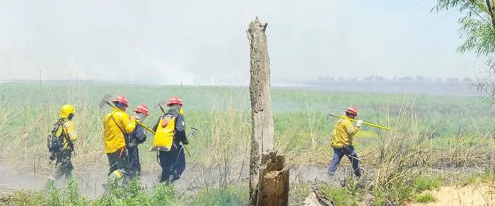 Prohíben realizar cualquier tipo de quemas en el territorio provincial hasta fines de febrero