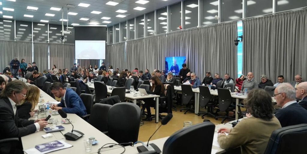 Las comisiones de Presupuesto y Hacienda, y de Ciencia, Tecnología y Desarrollo Productivo se reunieron este miércoles para dictaminar sobre la emergencia en el sector.