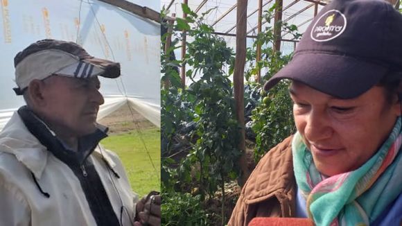 Estrella Verde, la huerta agroecológica de Laura y Leonardo camino a Río Tala