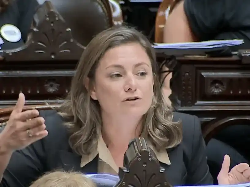 La iniciativa es encabezada por la diputada Vanesa Siley, de Unión por la Patria.
