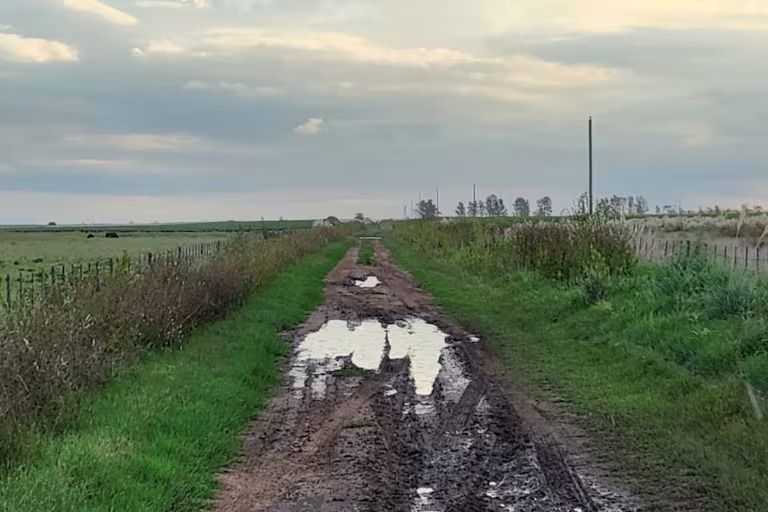 En el partido hay 600 km de caminos rurales