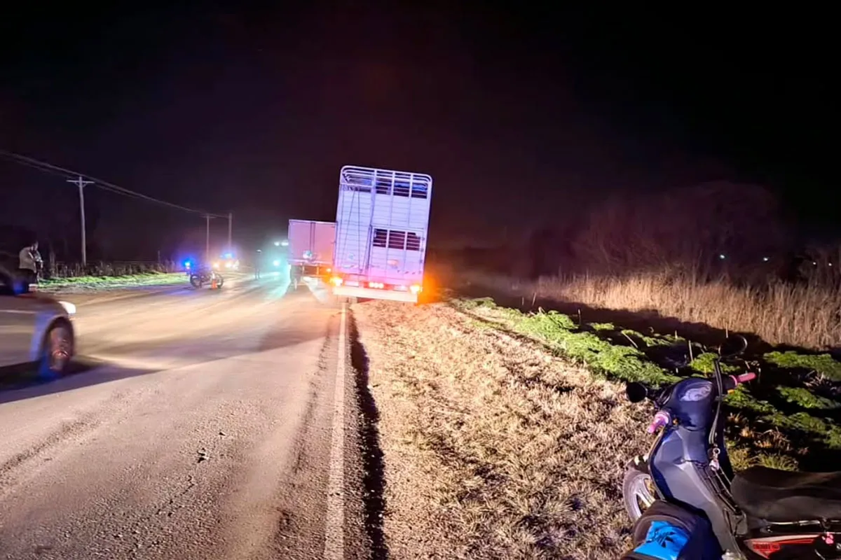 Tragedia en la ruta 11: una mujer cayó de una moto y murió tras ser embestida por un camión