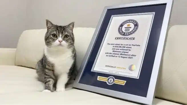 Día Mundial de los Récord Guinness