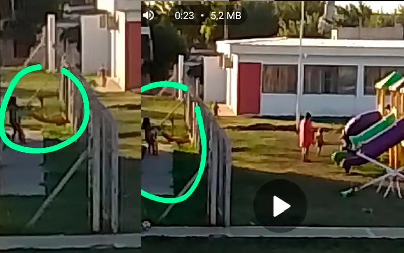 Destrozos: “Una nena queriendo llevarse el tobogán”