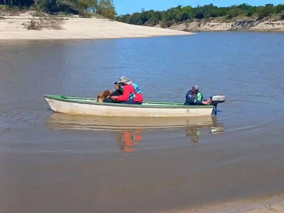 K-9 Gualeguay colaboró en la búsqueda de un joven desaparecido en Tala