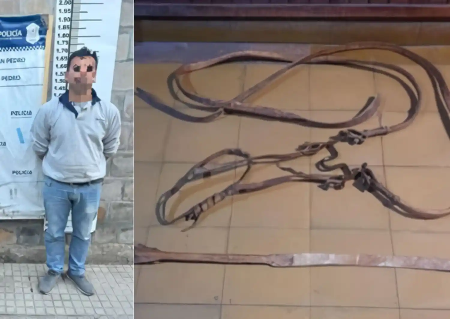 El rebenque fue secuestrado y el agresor trasladado a Comisaría.