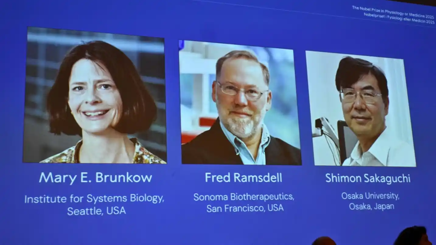 El premio Nobel de Medicina fue otorgado a Mary E. Brunkow, Fred Ramsdell y Shimon Sakaguchi. (Foto: Reuters)