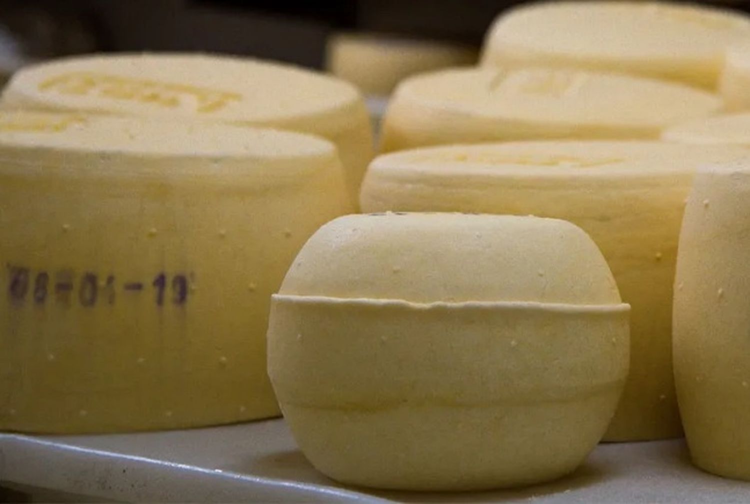 Anmat prohibió la venta de un queso sardo de Entre Ríos