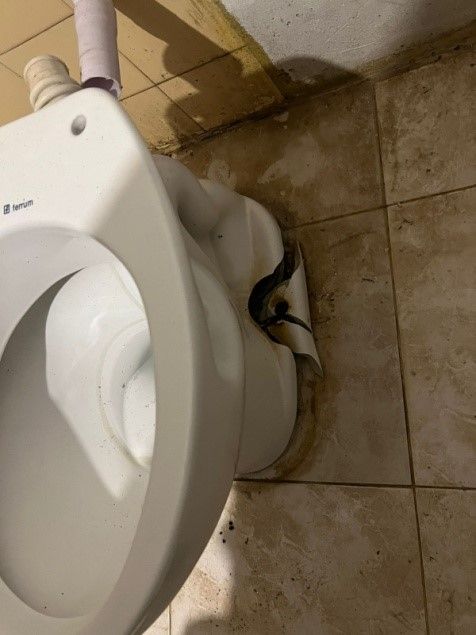 Destrozo inodor o camping las canaletas
