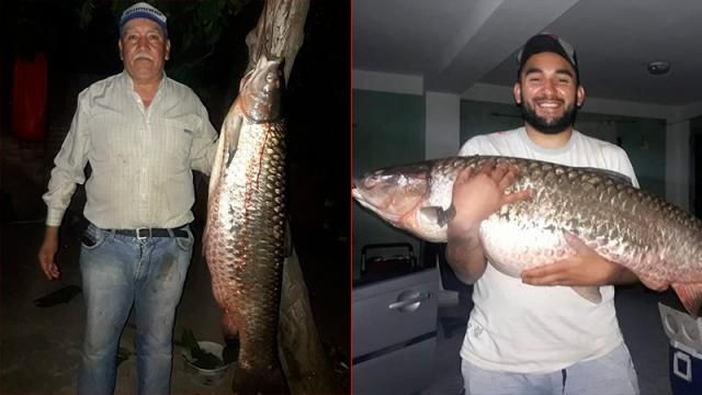 Pescaron carpa de más de 30 kilos: Evalúan embalsamarla o hacer una "comilona"