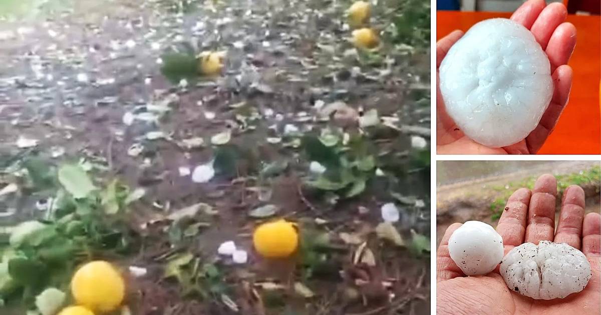 Granizo: cuál fue la zona afectada y qué dice el relevamiento efectuado ...